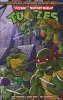 TEENAGE MUTANT NINJA TURTLES SATURDAY MORNING ADVENTURES VOL 03 TP [9798887241593]